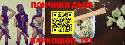 крисы Камышлов