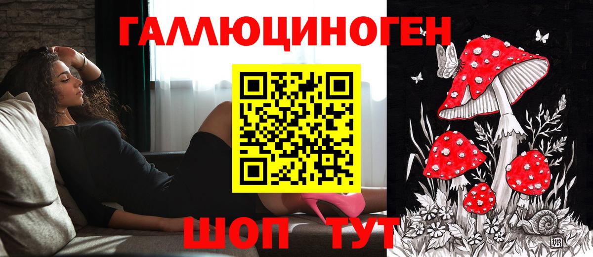 Псилоцибиновые грибы Psilocybe  Вход с VPN  Казань 